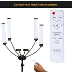 MUA Key Light Lighting setup with remote control. TQEQ.