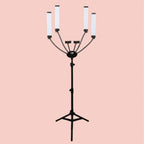 TQEQ MUA Key Light (4 Arms LED Light)